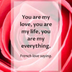 25 Best Valentine Card Sayings Messages