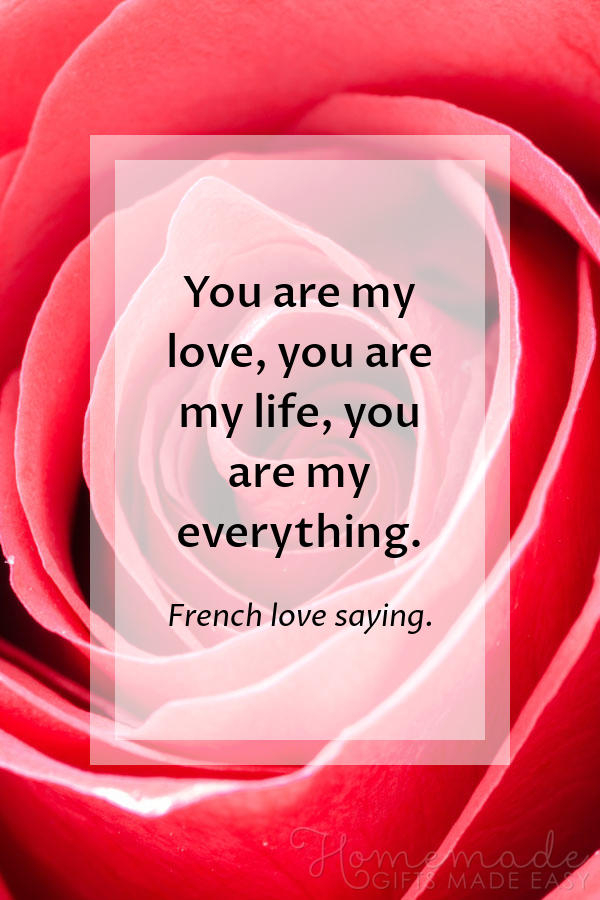 25 Best Valentine Card Sayings Messages