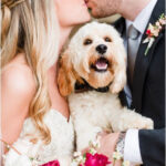 27 The Most Heart melting Photos Of Dogs At Weddings Ever Page 2