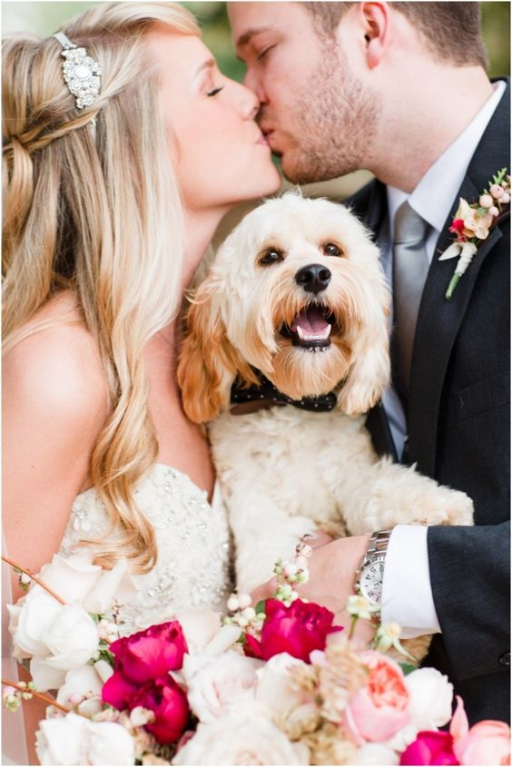 27 The Most Heart melting Photos Of Dogs At Weddings Ever Page 2