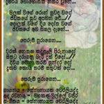 Artist Senanayake Weraliyadda Sinhala Song Lyrics Song Lyrics