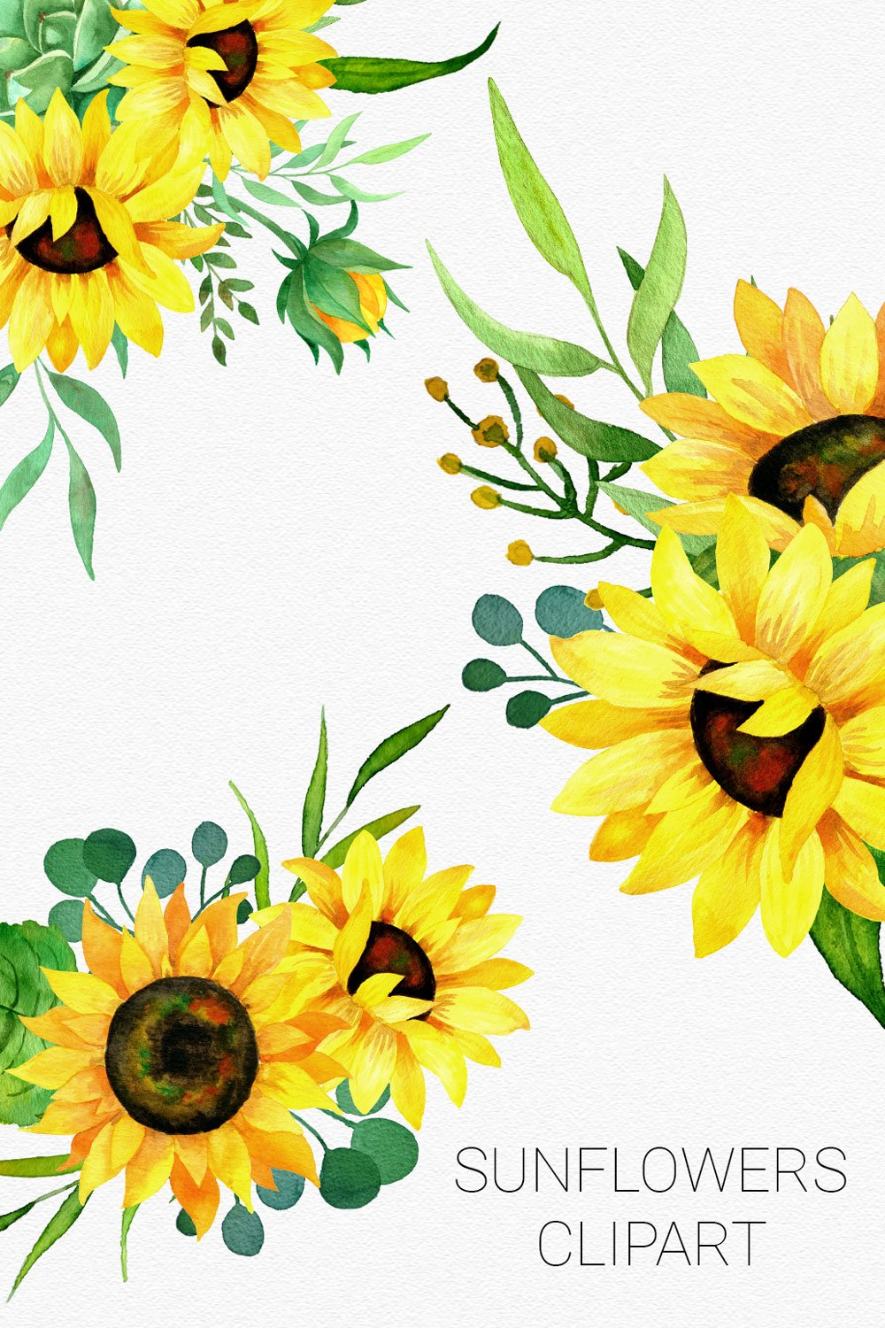 BESTSELLER Sunflowers Watercolor Clipart Bouquets And Frame 572499 