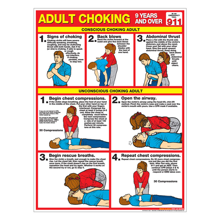 Choking Chart Adult Laminated 