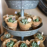 Cute Succulent Cactus Party Ideas For A Baby Shower Or Any Party