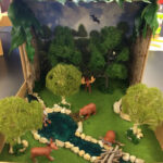 Image Result For Shoe Box Rainforest Ecosystems Projects Habitats