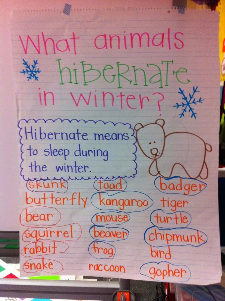 January Wrap Up mammals Anchor Chart January Wrap Up anchor chart 