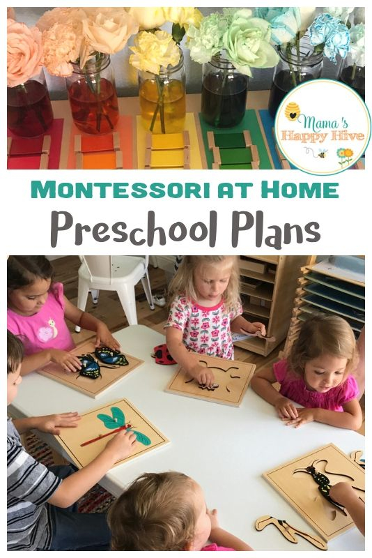 Montessori At Home Preschool Plans Free Unit Study Printable 