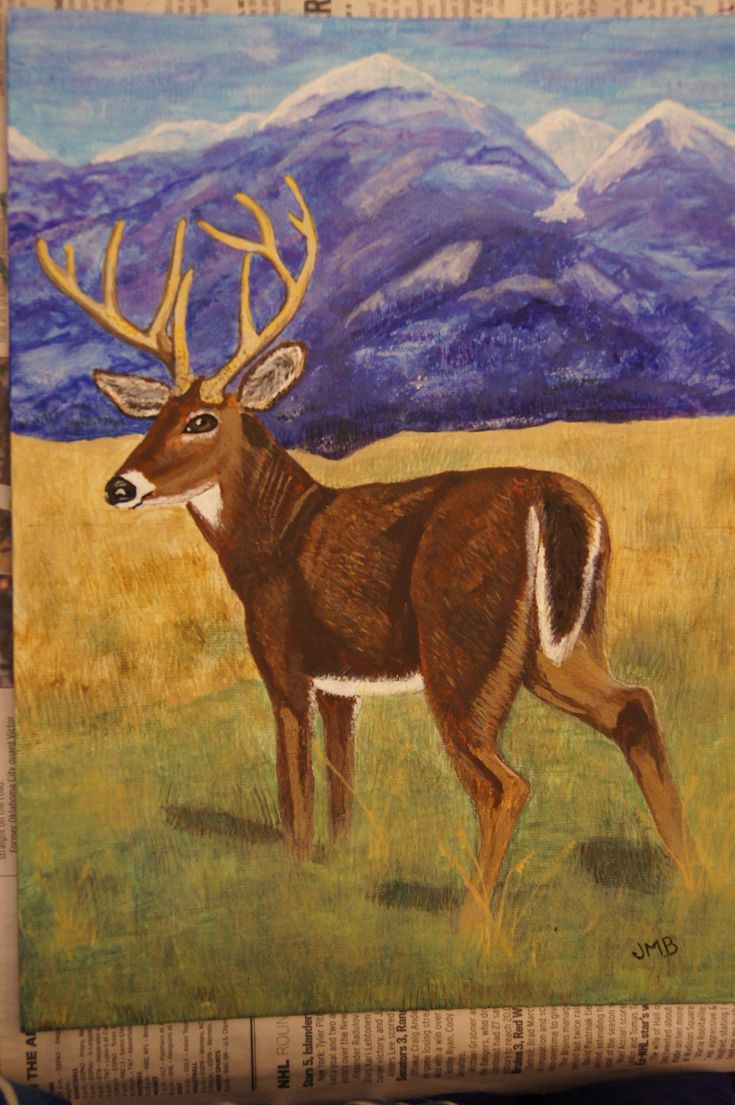 My First Deer Painting It s Done With Acrylic Paints Deer Painting 