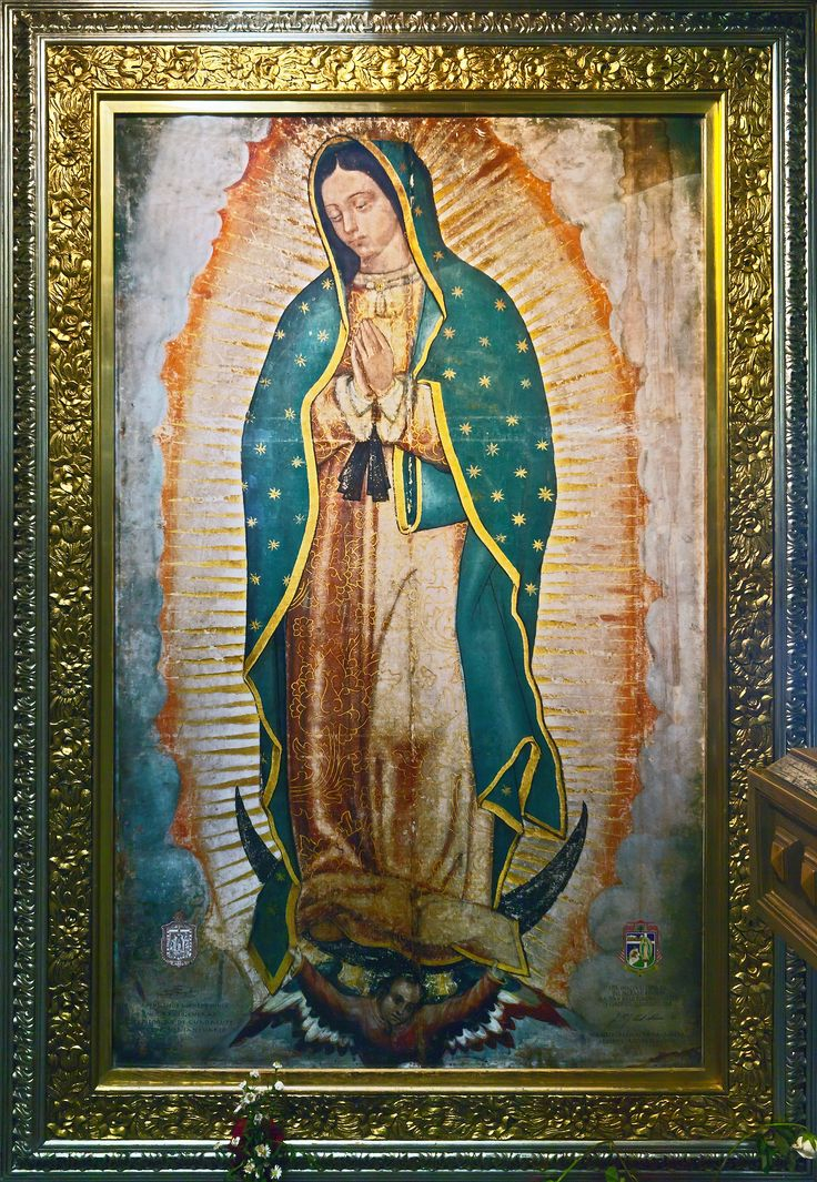 Our Lady Of Guadalupe Patroness Of The Nitty Gritty In Life Catholic