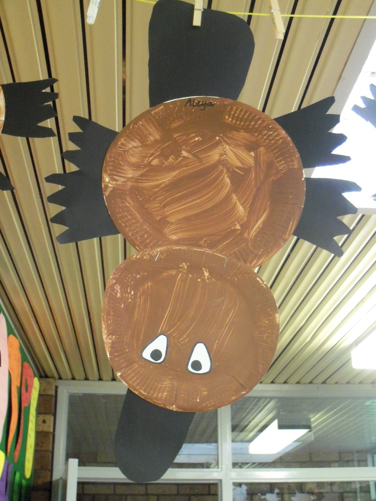 Paper Plate Platypus Thanksgiving Activities For Kindergarten Animal 