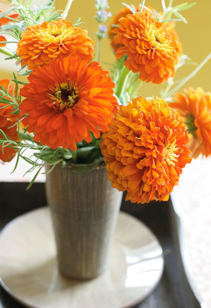 Vibrant Orange Flowers In Vase Blank Card Greeting Cards Hallmark