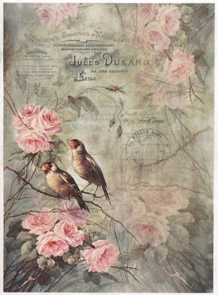 Vintage Birds Roses A4 Rice Paper For Decoupage Scrapbooking Etsy 