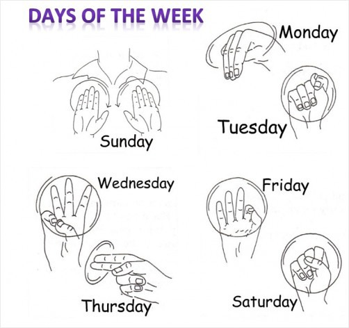 Days Of The Week Miss Katapodis First Grade Class Page