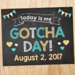 Gotcha Day Sign Adoption Announcement PRINTABLE Custom