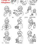 ASL Pledge Of Allegiance Asl Sign Language Sign Language Sign