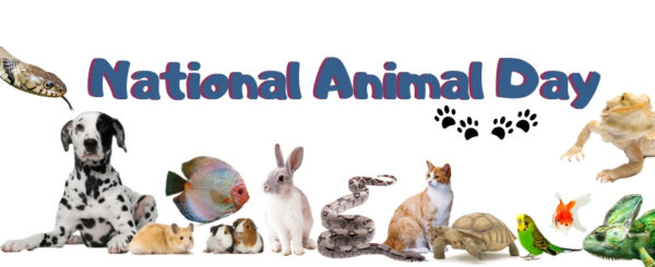 Every Day Is A National Animal Day Huggle Pets News HugglePets