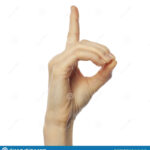 Finger Spelling Letter D In American Sign Language On White Background ASL Concept Stock Photo