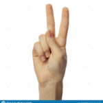 Finger Spelling Letter V In American Sign Language On White Background