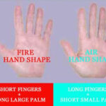 Hand Shape Palm Reading Perspectives Palm Reading Basic Palm