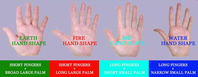 Hand Shape Palm Reading Perspectives Palm Reading Basic Palm 