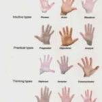 Hand Types For Palm Reading Palm Reading India