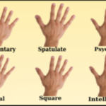 WHAT YOUR HAND SHAPE CAN REVEAL ABOUT YOUR PERSONALITY Hand Shapes