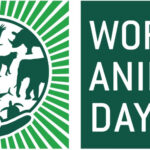 World Animal Day How To Celebrate Animal Rights